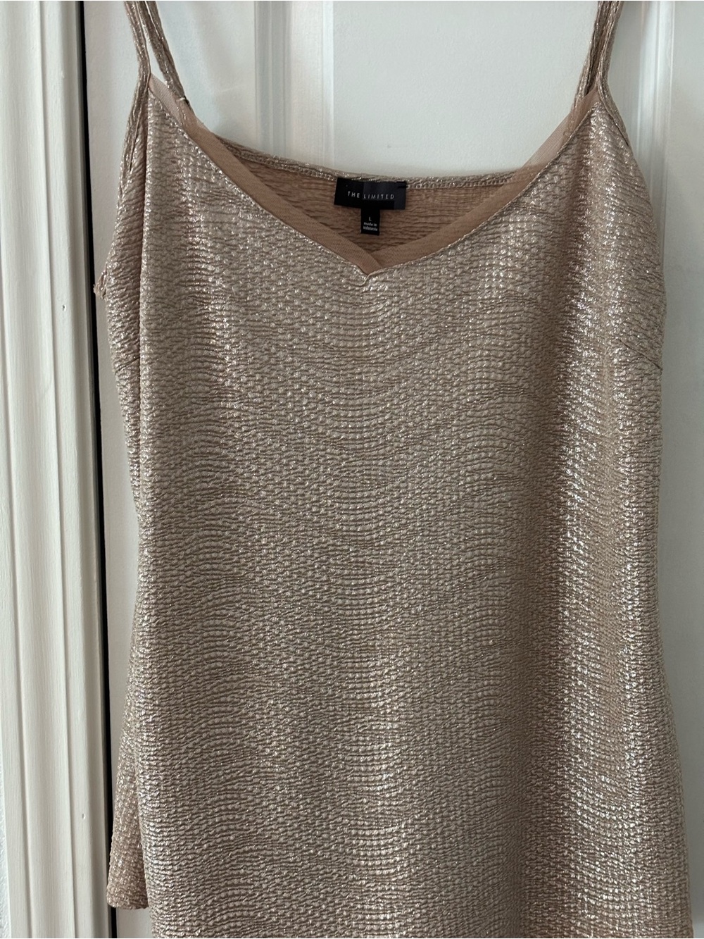 The Limited Metallic Nude Slip Top